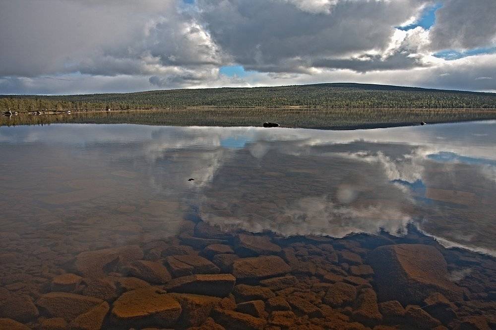 кольский, полуостров, locus