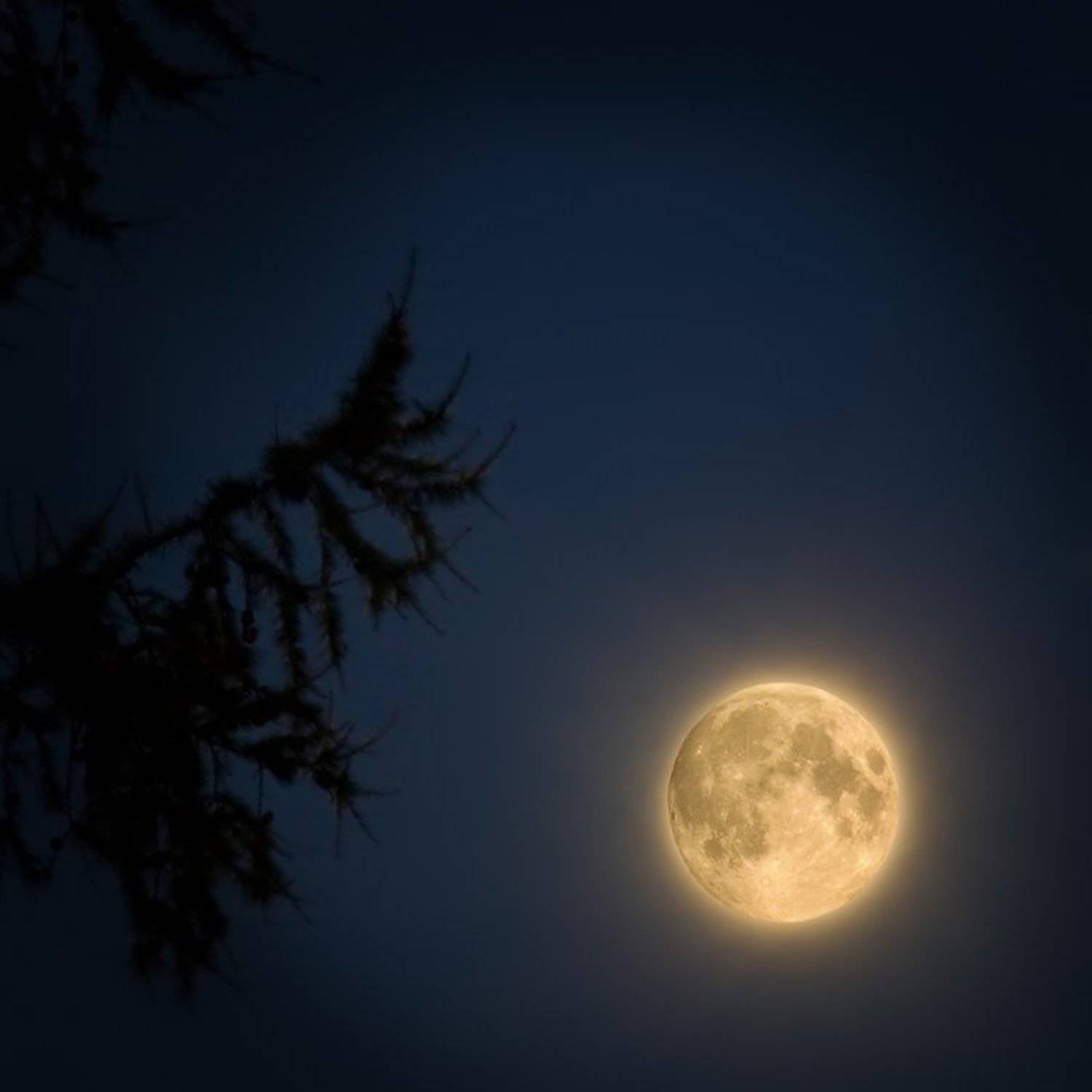 , Viktor Kalechenkov