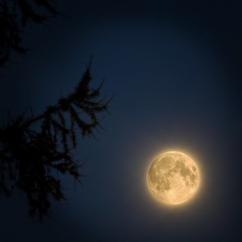 Полнолуние фото превью