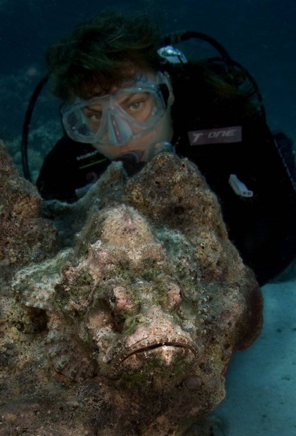 , Андрей Макеев