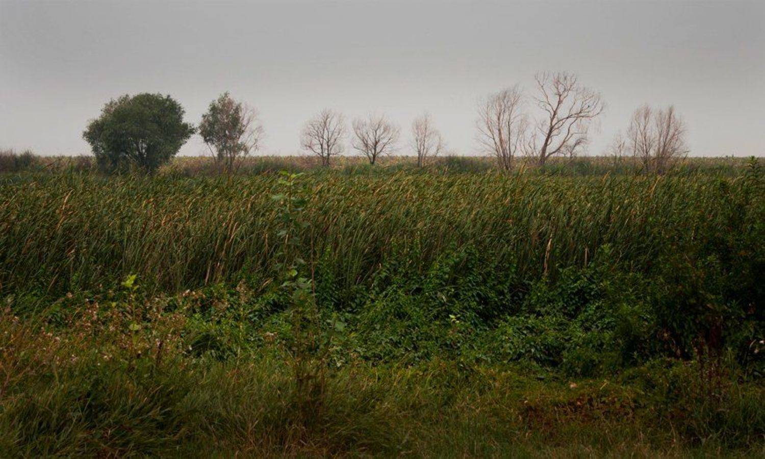 , Игорь {Товарищ} Нигматьянов