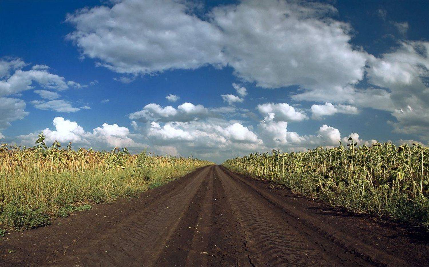 , Дмитрий Галичников