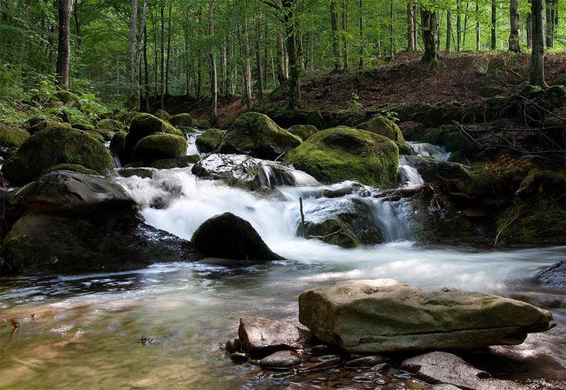 река, горы, лес, карпаты Шум горной реки фото превью
