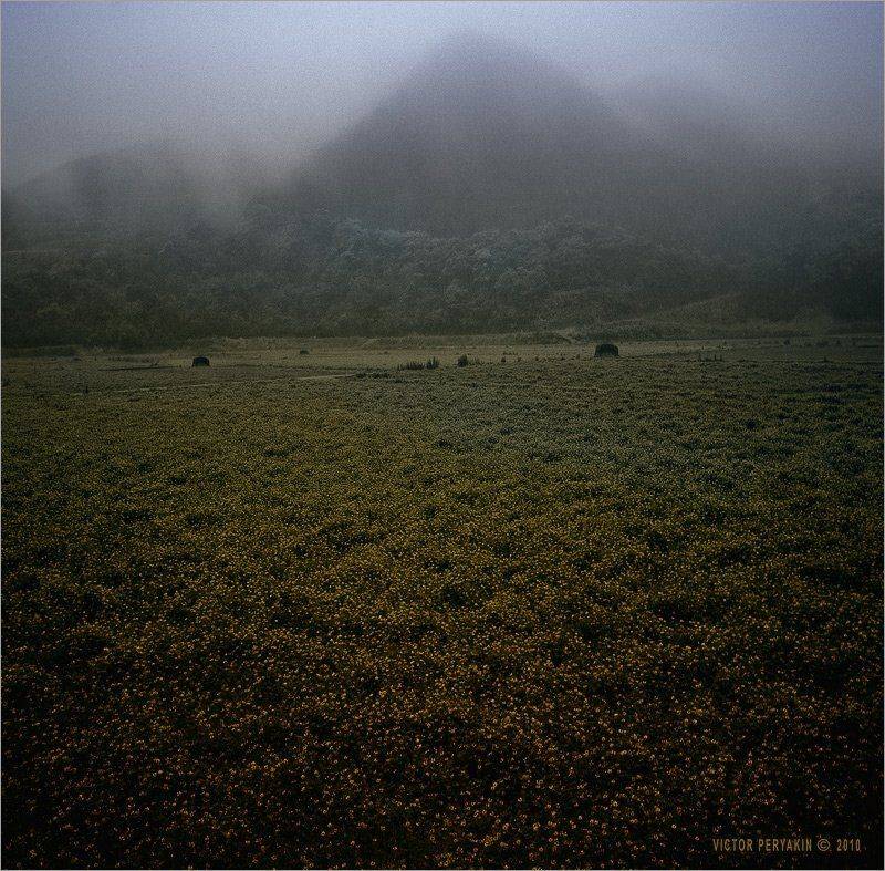 , Виктор Перякин