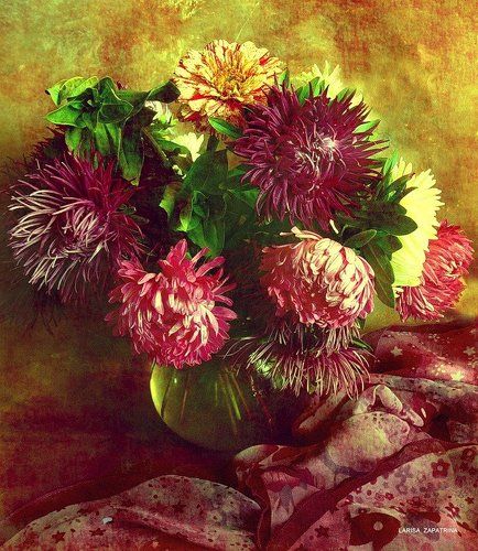 Яркие астры