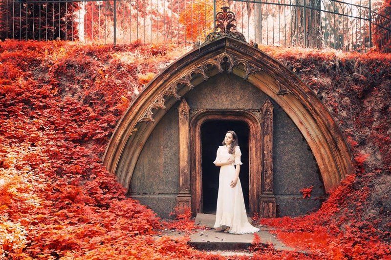 Red фото превью