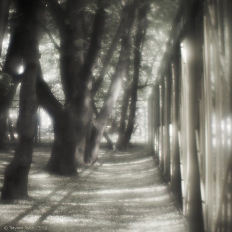 монокль Городская геометрия фото превью