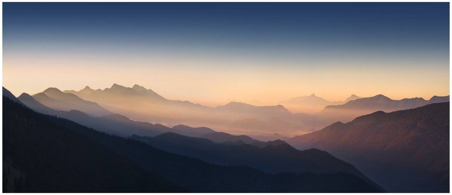 , Денис Кривой