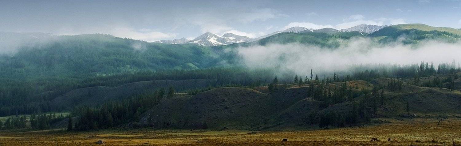 алтай, панорама, пейзаж, горы, туман, небо, утро, cv