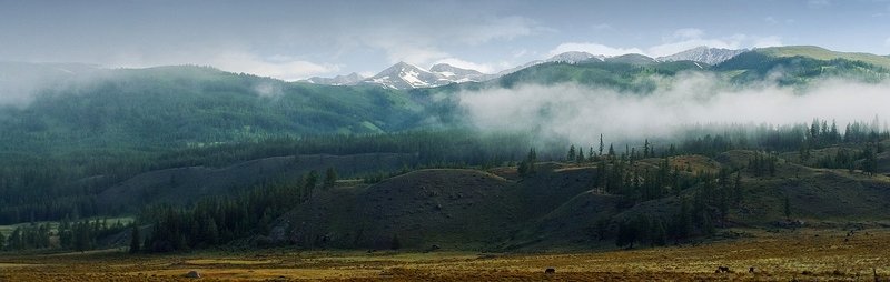 алтай, панорама, пейзаж, горы, туман, небо, утро *** фото превью