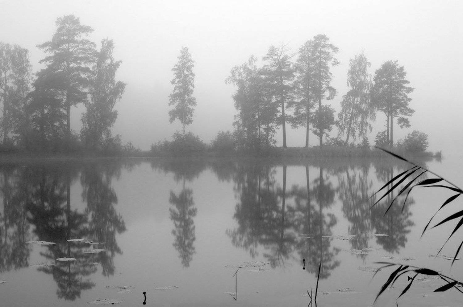 , Viktor Kalechenkov