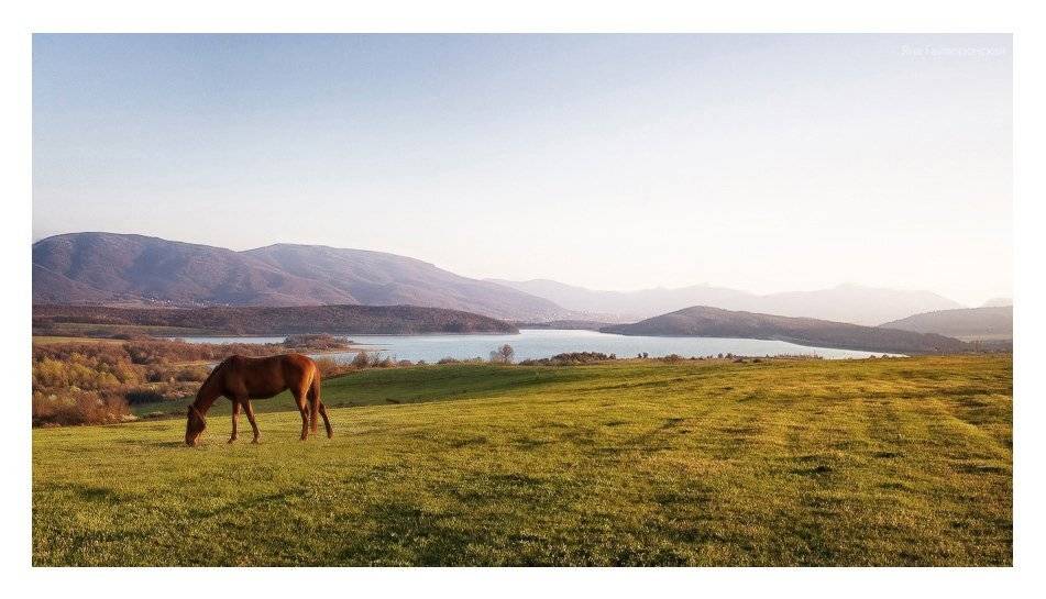 , Яна  Гайворонская