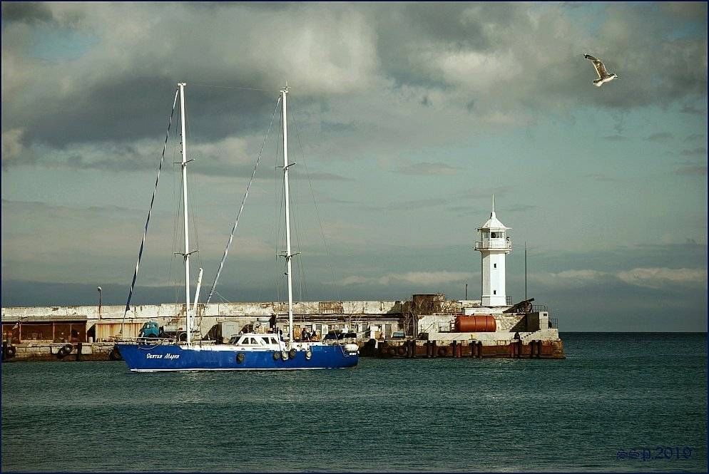 , СЕРГЕЙ СВИРИДОВ(Klematis)