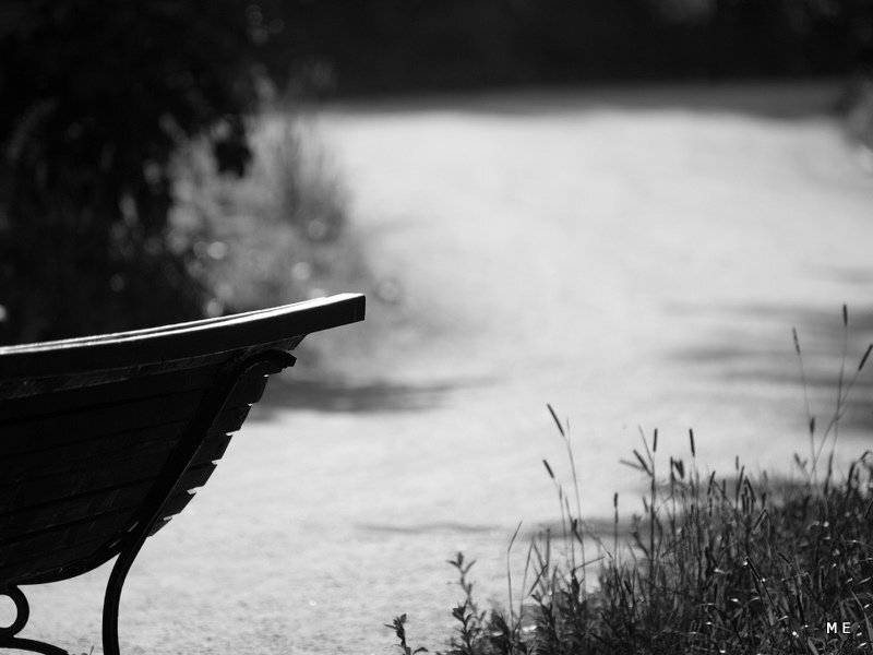 , михаил михаил