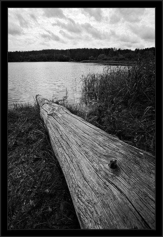 луга, озеро, дерево, чб, Kirill Shapovalov