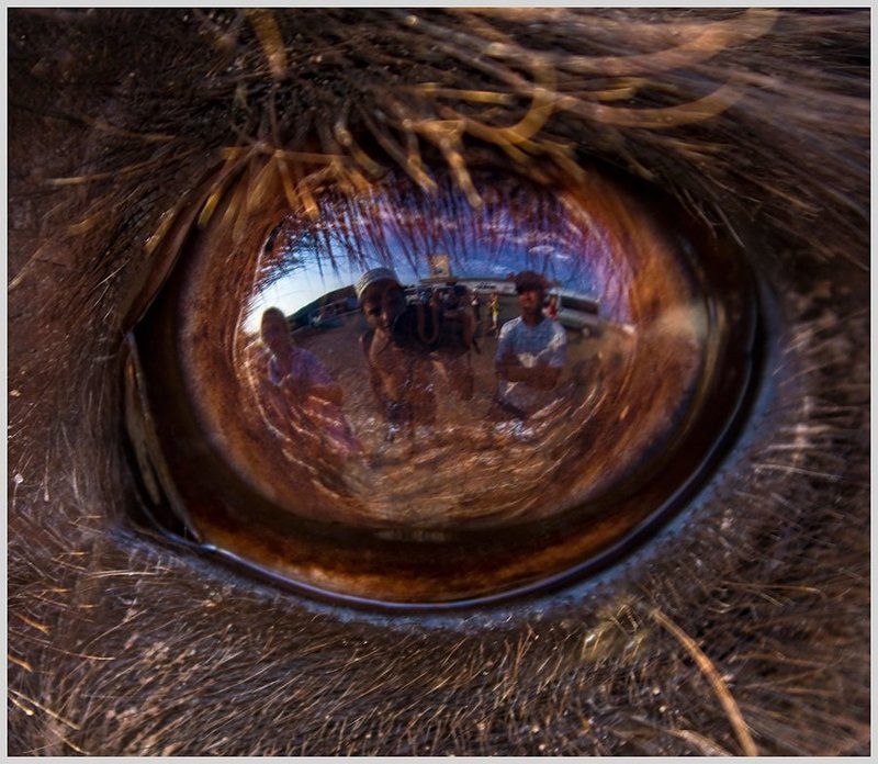 Отражение фото превью