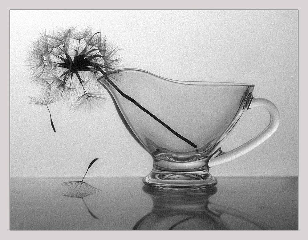 дача, лето, свет, одуван, отражение, Ирина Фурашова