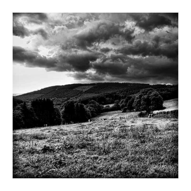 небо, горы, бельгия, арденны, пейзаж, фото, черно-белый Небо. Горы и коровы(если приглядеться) фото превью