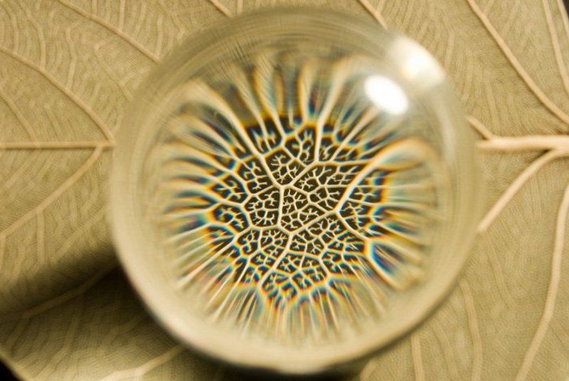 Микроскоп фото превью