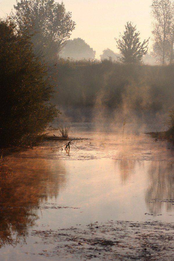 утро, туман, река, село, конец лета, Александр Андреев