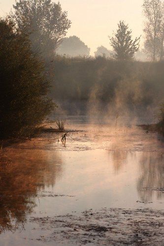 Утро туманное...