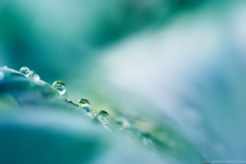 *** фото превью