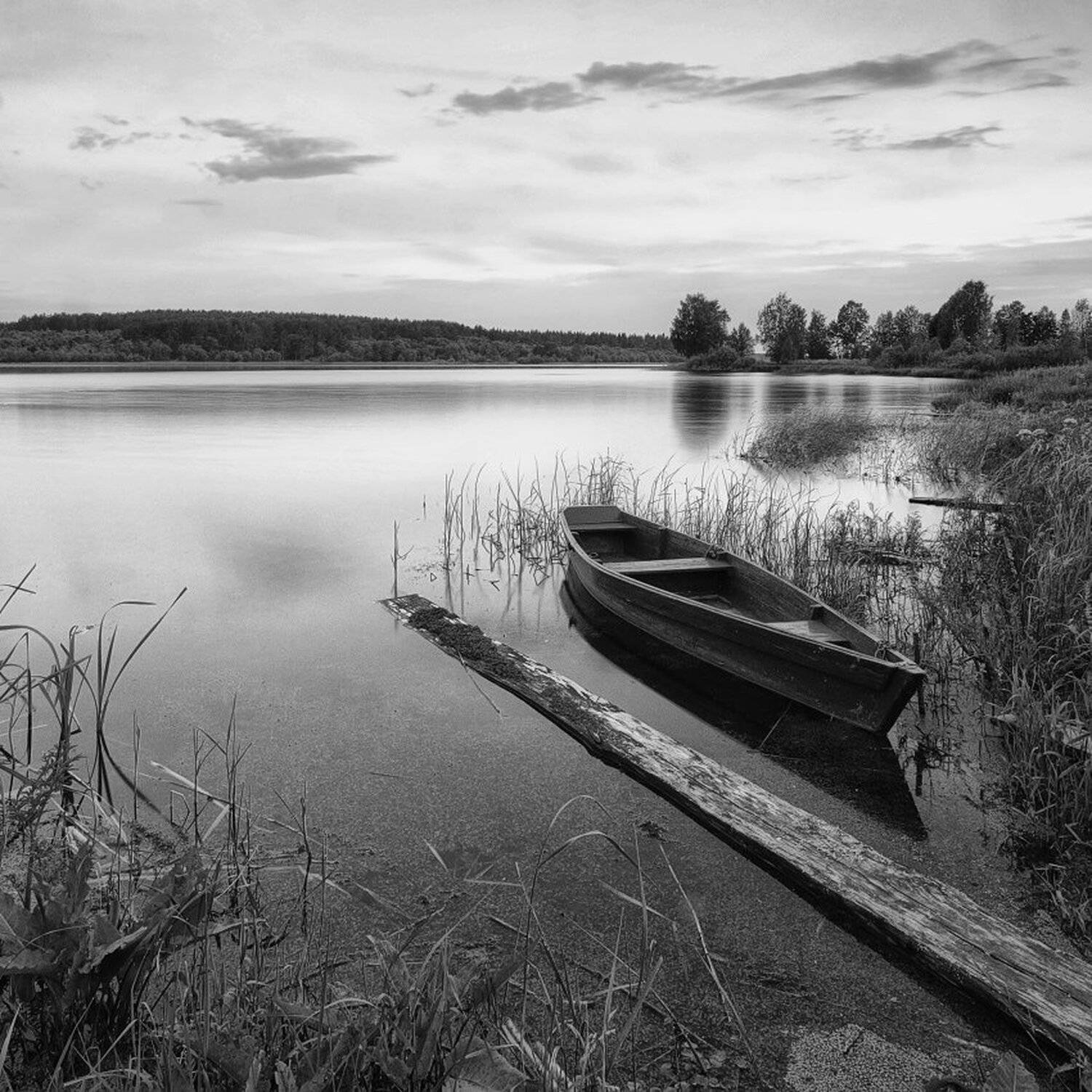 , Максим Евдокимов