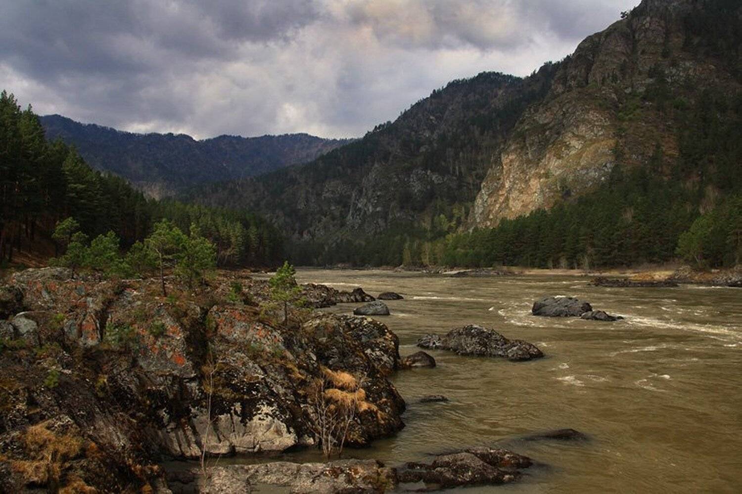 горный, алтай, Владимир Спиряев
