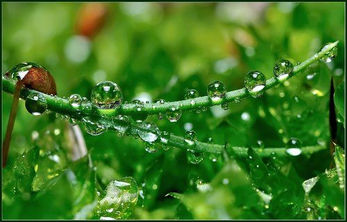 Бриллианты чистой воды.