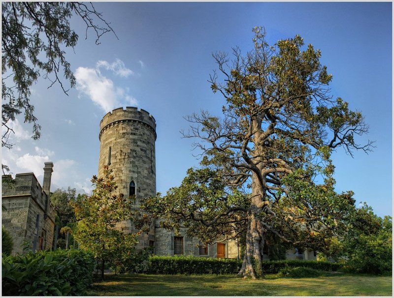 Воронцовский дворец фото превью