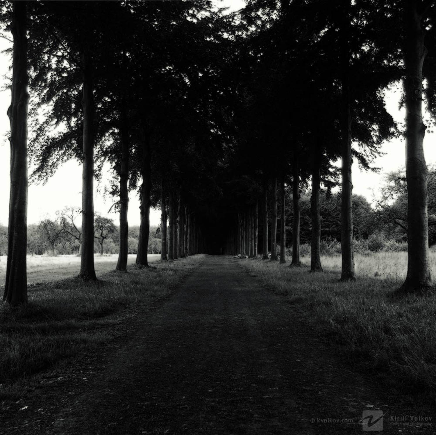 темная, аллея, Кирилл