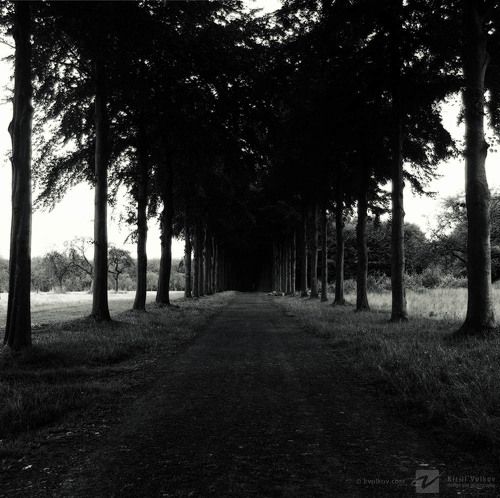 дорога в никуда