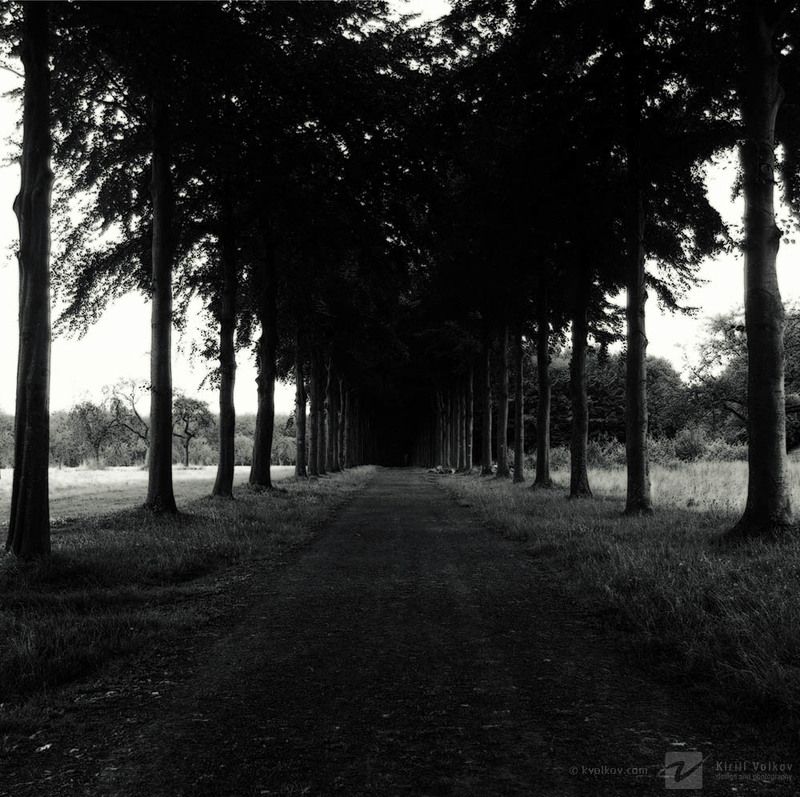 темная, аллея дорога в никуда фото превью