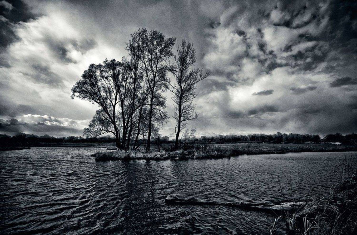 , Марк Пономаренко