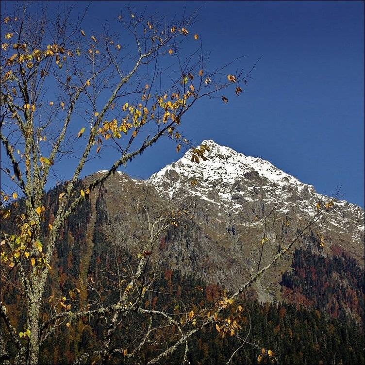 абхазия, осень, Тарасов Алексей