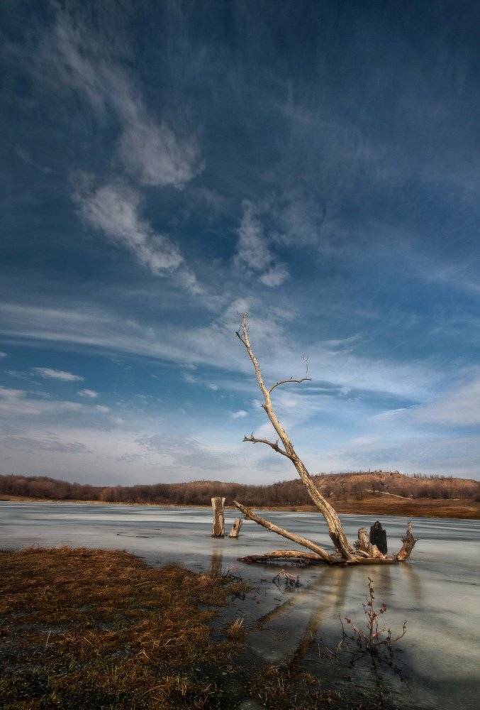 март, Петриченко Валерий