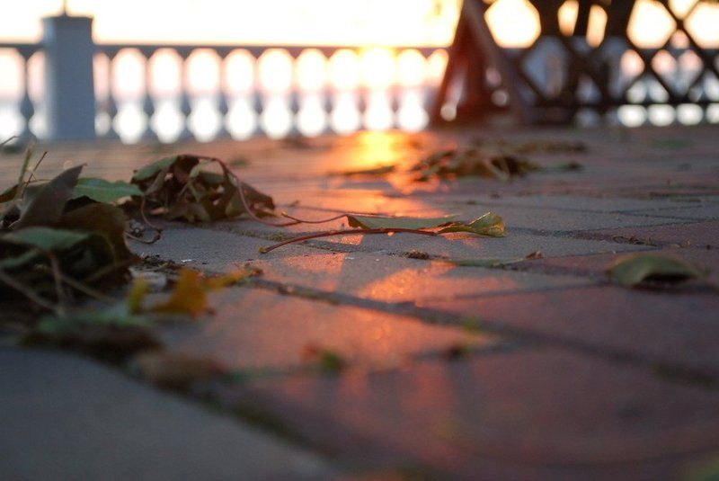 Розовые зайчики фото превью