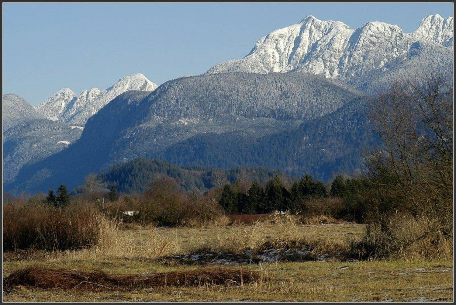 , Alexandre Michourovskii