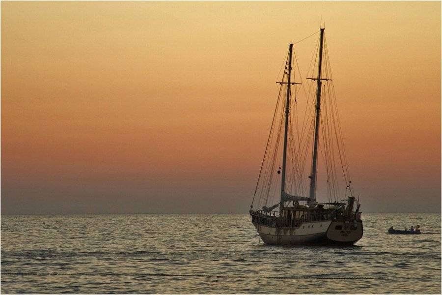 , СПИРИДОНОВ НИКОЛАЙ