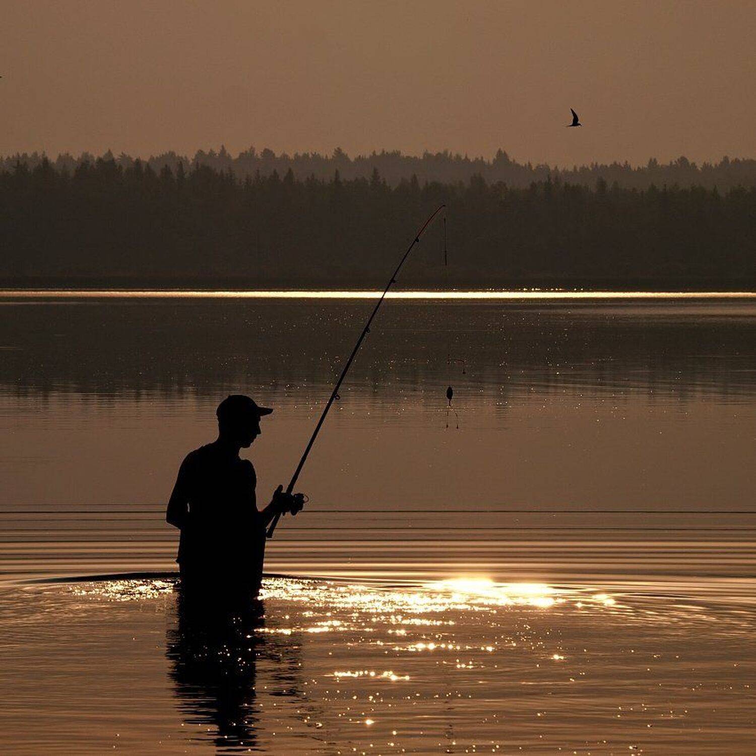 , Максим Евдокимов