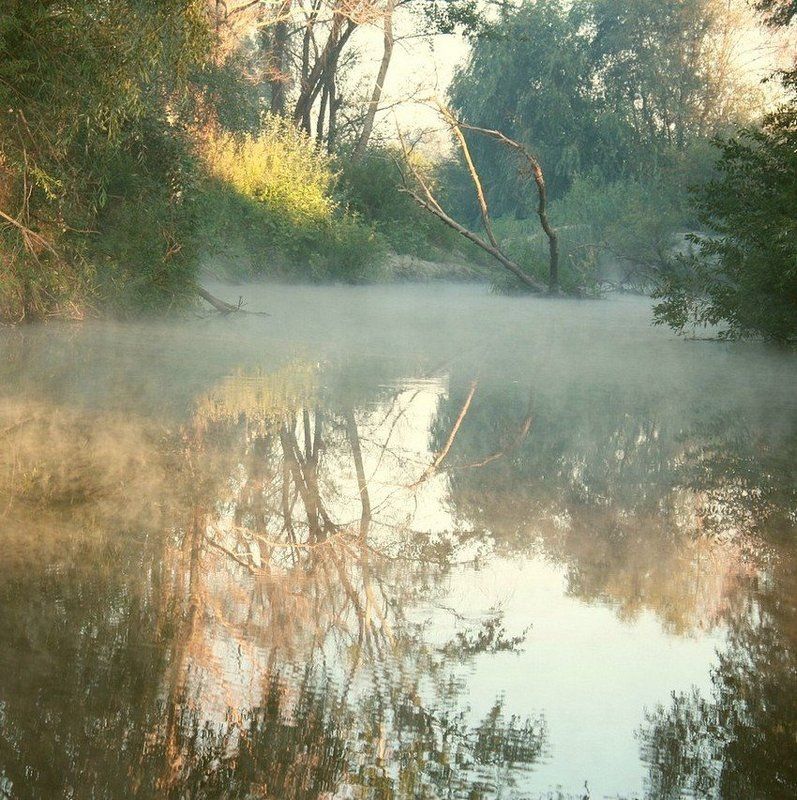 утро, туман, река, отражения, лето Там, на неведомых дорожках... фото превью