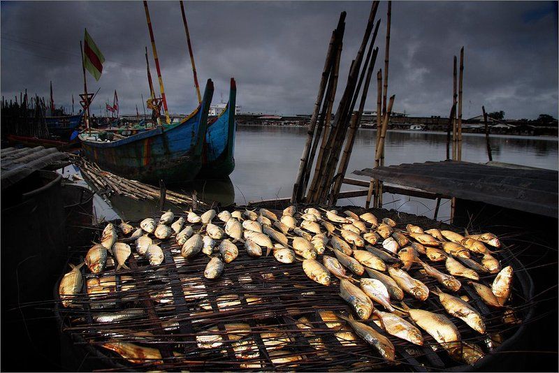 Пейзаж с вяленой рыбой фото превью