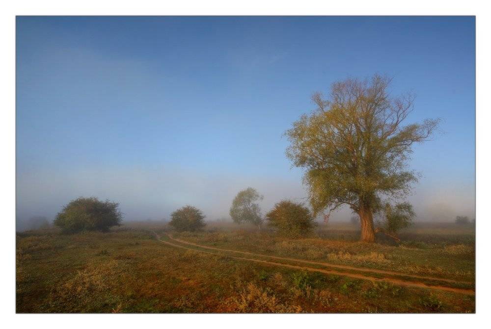 уро, осень, туман, Петриченко Валерий