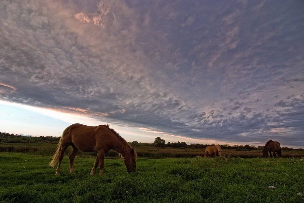 закат, Александр Титаренко
