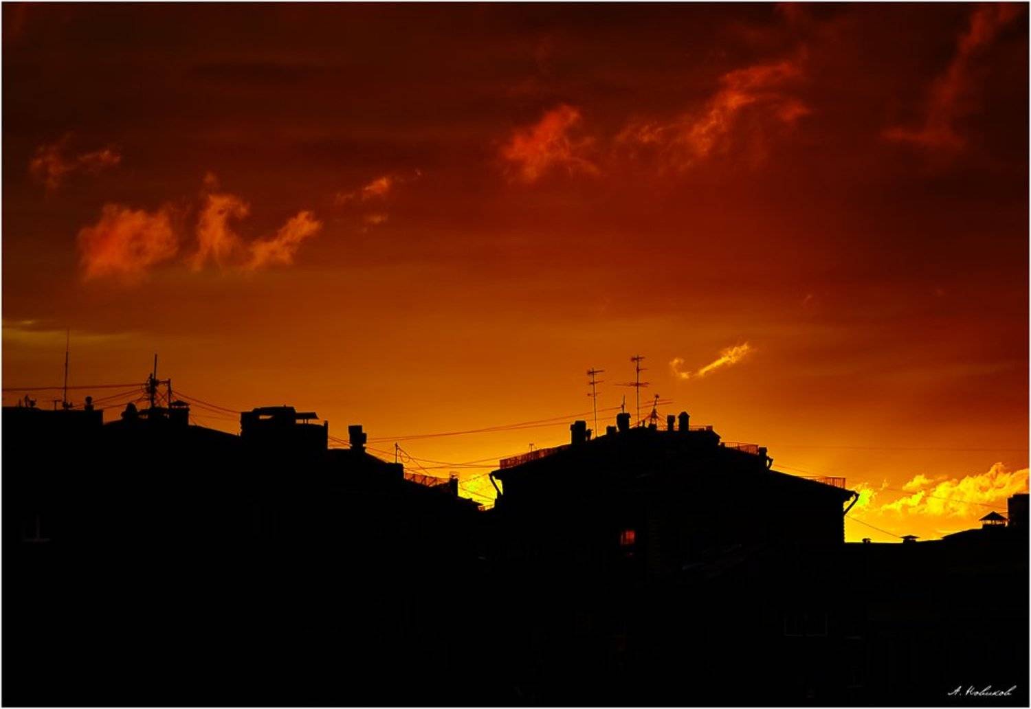 , Алексей Новиков