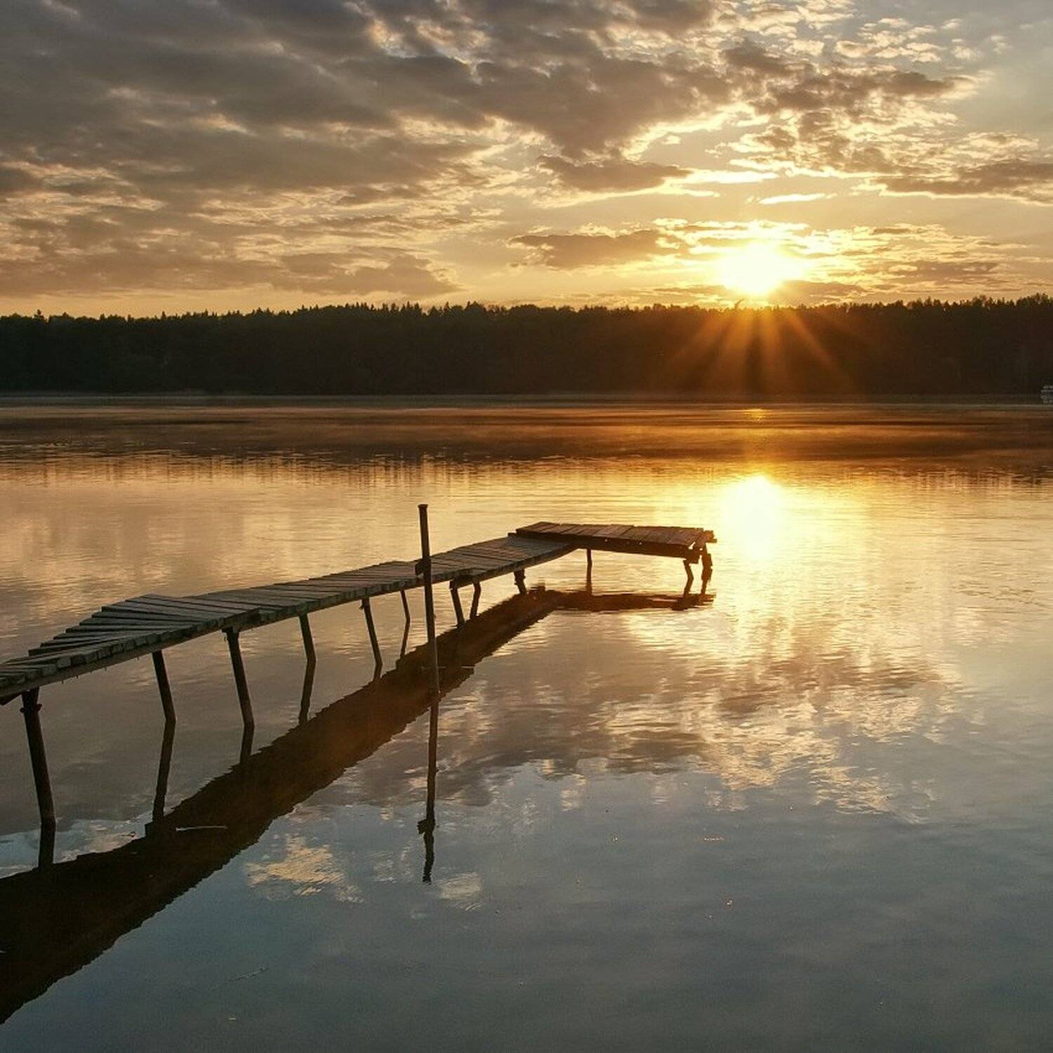 , Максим Евдокимов