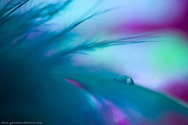 *** фото превью