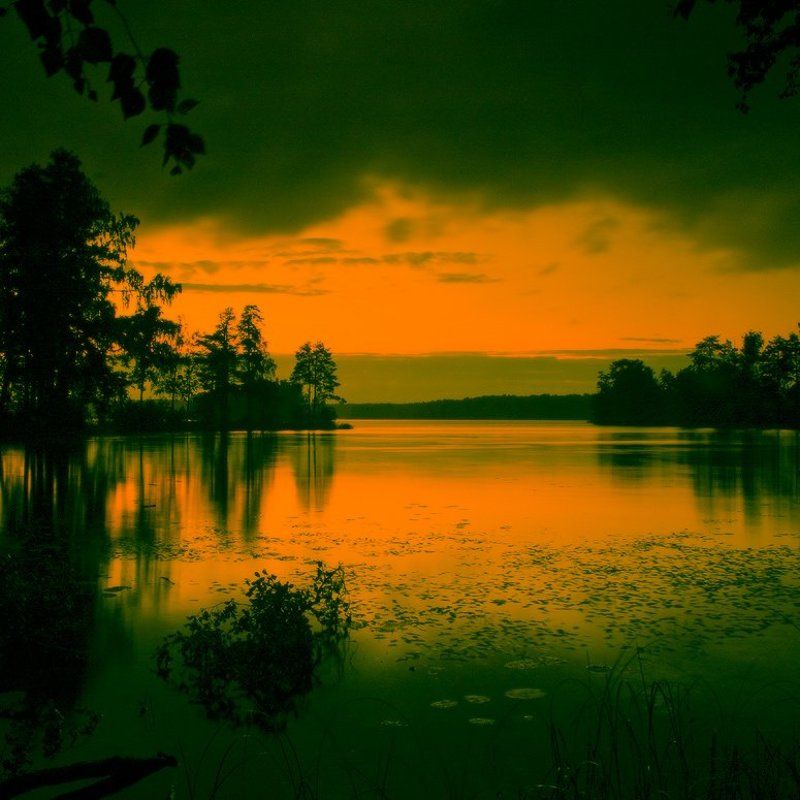 Не день, не ночь фото превью