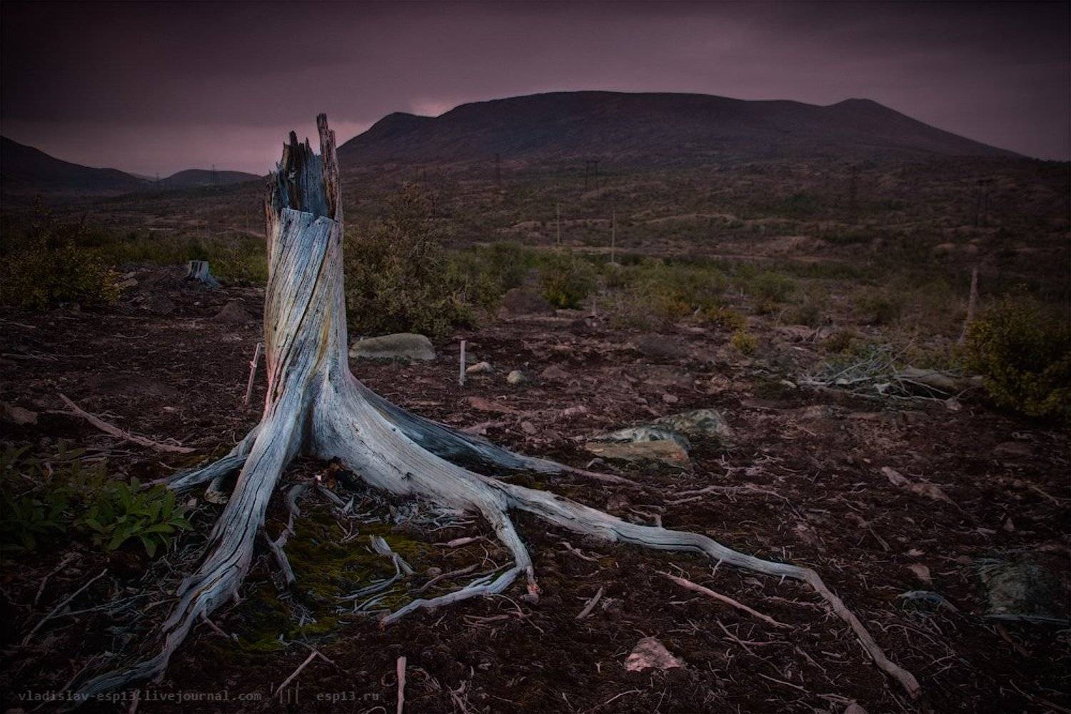 мончегорск , техноген, Владислав