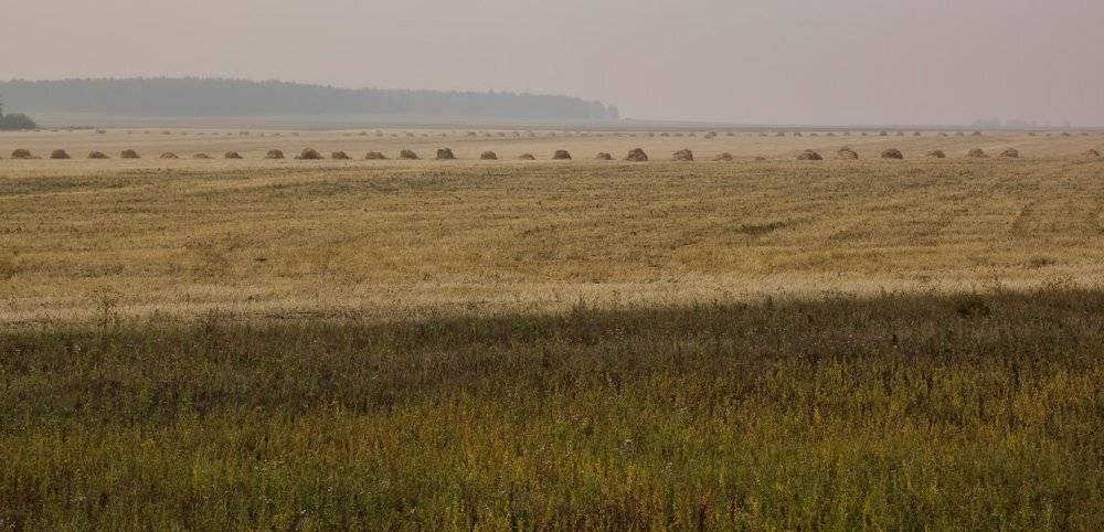 , Артем Кодолов